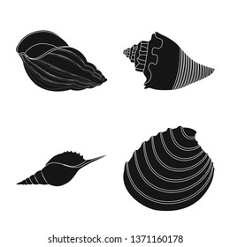 Vector design of nature  and ocean logo. Set of nature  and mollusk stock symbol for web.