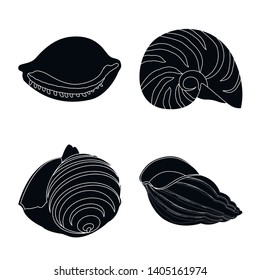 Vector design of nature  and ocean logo. Set of nature  and mollusk stock symbol for web.
