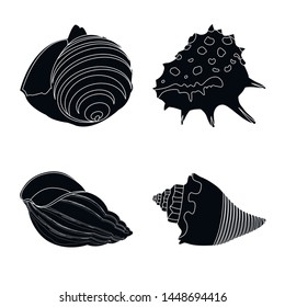 Vector design of nature and ocean logo. Set of nature and mollusk stock vector illustration.