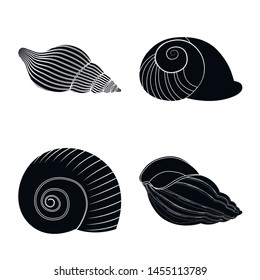 Vector design of nature and ocean sign. Set of nature and mollusk stock symbol for web.