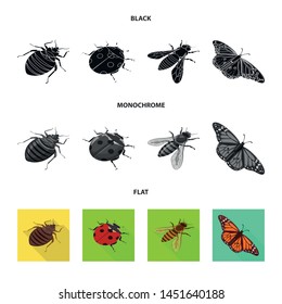 Vector design of nature and wildlife icon. Collection of nature and wing stock vector illustration.
