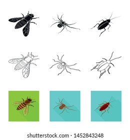 Vector design of nature and wildlife sign. Collection of nature and wing vector icon for stock.