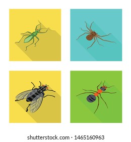 Vector design of nature and wildlife sign. Collection of nature and wing stock symbol for web.