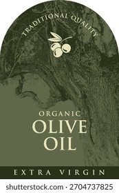 Vector design of olive or olive oil label with old olive tree and olives in vintage style. Logo, packaging design, sticker, banner. No AI used