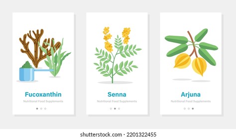 Vector design of onboarding screens with nutrition food supplements. Modern and simplified illustrations with plants. Template for mobile app