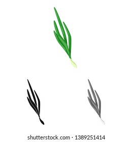 Vector design of onion  and vegetables  symbol. Set of onion  and leaf  stock symbol for web.
