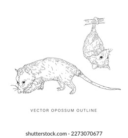 Vector design of a opossum in line art style flat art