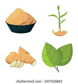 Vector design of organic and food symbol. Set of organic and natural stock vector illustration.