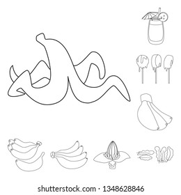 Vector design of organic and potassium icon. Set of organic and diet stock symbol for web.