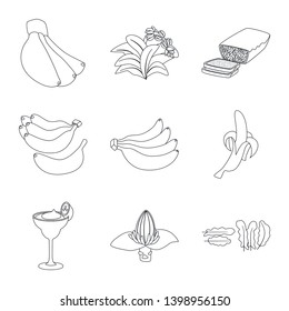 Vector design of organic and potassium icon. Set of organic and diet stock symbol for web.