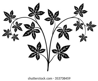 Vector for design ornament floral