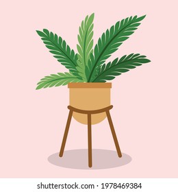 Vector Design Of Ornamental Fern Plant In Pot. You Can Use This Vector Design In Your Other Designs, You Can Combine It And Change The Color And Layout.