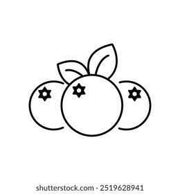 vector design outlines illustration isolated background