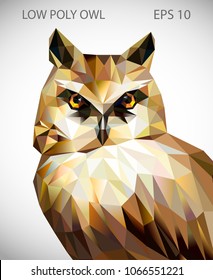 Vector design of owl in low poly style. Polygonal animal illustration.