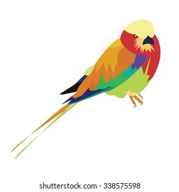 vector design paint  stand bird 