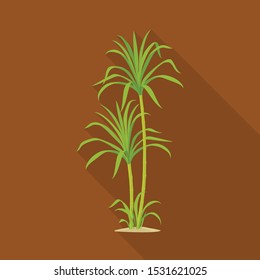 Vector design of palm and cane sign. Web element of palm and field stock symbol for web.