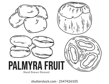 Vektordesign Palmfrucht mit weißem Hintergrund und Tintenhandzeichnung von ganzen, geöffneten, frischen und geschnittenen Palmfrüchten