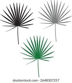 vector design of palm leaf shadow. Natural palm leaf shadows isolated on transparent background. Tropical coconut branch shade, foliage silhouette decoration. Design element for summer spring projects