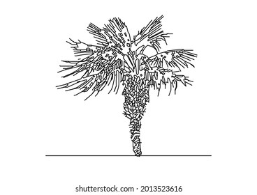 Vector design of palm tree or palm tree sketch