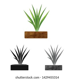 Vector design of panicle and rice icon. Set of panicle and leaf vector icon for stock.