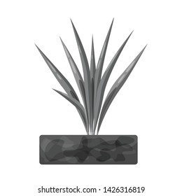 Vector design of panicle and rice logo. Collection of panicle and leaf stock symbol for web.