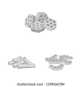 Vector design of pasta and carbohydrate logo. Collection of pasta and macaroni vector icon for stock.
