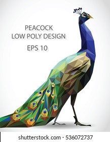 Vector design of peacock in low poly style.  
