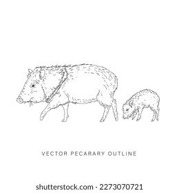 Vector design of peccary in line art style flat art