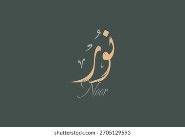 Un diseño de Vector para un nombre de persona "Noor" Caligrafía árabe Diwani Obra de arte, Ilustración vectorial