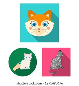 Vector design of pet and sphynx icon. Set of pet and fun stock vector illustration.