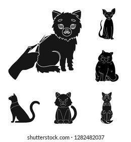 Vector design of pet and sphynx icon. Collection of pet and fun stock symbol for web.