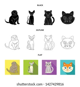 Vector design of pet and sphynx icon. Collection of pet and fun vector icon for stock.