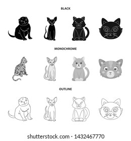Vector design of pet and sphynx icon. Collection of pet and fun stock vector illustration.