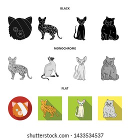 Vector design of pet and sphynx icon. Set of pet and fun stock vector illustration.