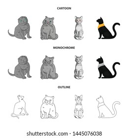 Vector design of pet and sphynx icon. Set of pet and fun stock symbol for web.