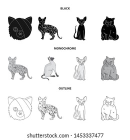 Vector design of pet and sphynx icon. Collection of pet and fun vector icon for stock.