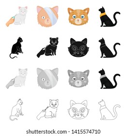 Vector design of pet and sphynx logo. Collection of pet and fun stock symbol for web.