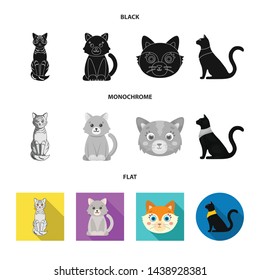 Vector design of pet and sphynx logo. Set of pet and fun stock symbol for web.