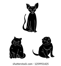 Vector design of pet and sphynx sign. Set of pet and fun vector icon for stock.