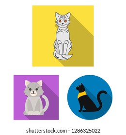 Vector design of pet and sphynx sign. Collection of pet and fun stock vector illustration.