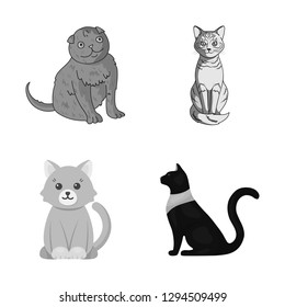 Vector design of pet and sphynx sign. Set of pet and fun vector icon for stock.