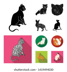 Vector design of pet and sphynx sign. Set of pet and fun stock symbol for web.