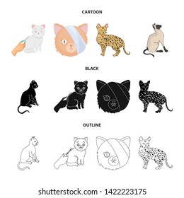 Vector design of pet and sphynx sign. Collection of pet and fun vector icon for stock.