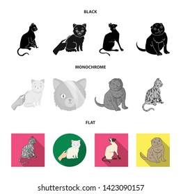 Vector design of pet and sphynx sign. Collection of pet and fun stock vector illustration.