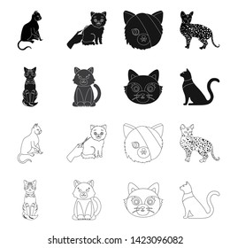 Vector design of pet and sphynx sign. Set of pet and fun stock symbol for web.