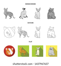Vector design of pet and sphynx sign. Collection of pet and fun vector icon for stock.