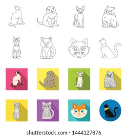 Vector design of pet and sphynx sign. Collection of pet and fun vector icon for stock.