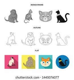 Vector design of pet and sphynx sign. Collection of pet and fun vector icon for stock. Vector design of pet and sphynx sign. Collection of pet and fun vector icon for stock.