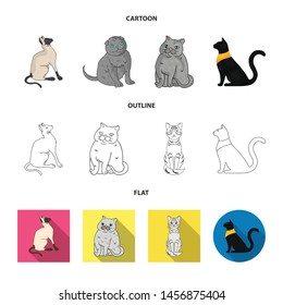 Vector design of pet and sphynx sign. Collection of pet and fun vector icon for stock.