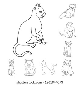 Vector design of pet and sphynx symbol. Set of pet and fun vector icon for stock.